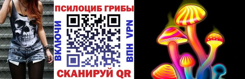 где купить наркоту  Куса  Псилоцибиновые грибы Magic Shrooms 